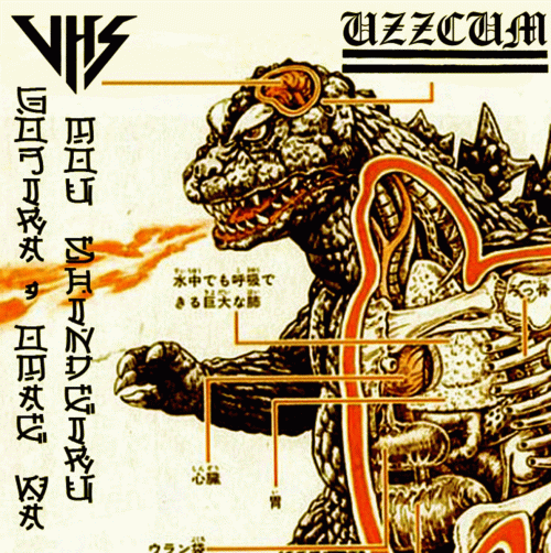 VHS (ARG) : Gojira, Omae Wa Mou Shindeiru